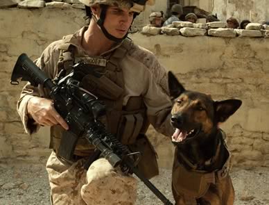 10 Must-See Military Dog Movies You Need to Watch Now