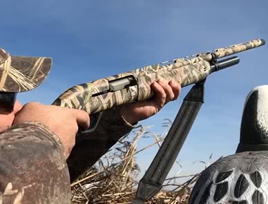 Winchester SX4: Problems and Solutions, Weatherby Element vs. Winchester SX4, Specs